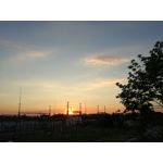 Zdjęcia użytkowników Huawei P9 Lite