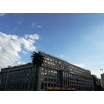 Zdjęcia użytkowników Huawei P9 Lite