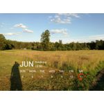 Zdjęcia użytkowników Huawei P9 Lite