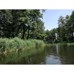 Zdjęcia użytkowników Huawei P9 Lite