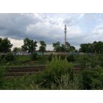 Zdjęcia użytkowników Huawei P9 Lite