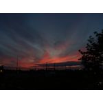 Zdjęcia użytkowników Huawei P9 Lite