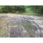 Zdjęcia użytkowników Huawei P9 Lite