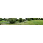 Zdjęcia użytkowników Huawei P9 Lite