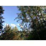 Zdjęcia użytkowników Huawei P9 Lite