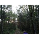 Zdjęcia użytkowników Huawei P9 Lite