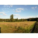 Zdjęcia użytkowników Huawei P9 Lite