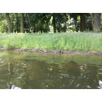 Zdjęcia użytkowników Huawei P9 Lite