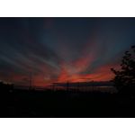 Zdjęcia użytkowników Huawei P9 Lite