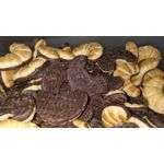 ZDJĘCIA Z TEGO TELEFONU