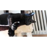 Zdjęcia użytkowników Huawei ShotX Zdjęcia użytkowników Huawei ShotX