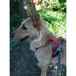 ZDJĘCIA Z TEGO TELEFONU