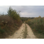 ZDJĘCIA Z TEGO TELEFONU