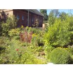 Zdjęcia użytkowników Huawei Y3