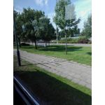 Zdjęcia użytkowników Huawei Y6 II