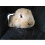 Zdjęcia użytkowników Huawei Y6 Zdjęcia użytkowników Huawei Y6