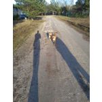 Zdjęcia użytkowników Huawei Y6 Zdjęcia użytkowników Huawei Y6