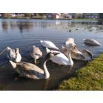 ZDJĘCIA Z TEGO TELEFONU