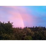 Zdjęcia użytkowników Huawei Y7