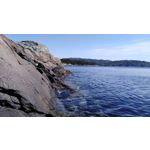 Zdjęcia użytkowników Huawei Y7