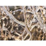 Zdjęcia użytkowników Huawei Mate X6