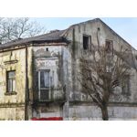 Zdjęcia użytkowników Huawei Mate X6