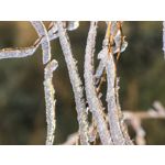 Zdjęcia użytkowników Huawei Mate X6