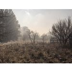 Zdjęcia użytkowników Huawei Mate X6