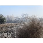 Zdjęcia użytkowników Huawei Mate X6