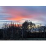 Zdjęcia użytkowników Huawei Mate X6