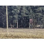 Zdjęcia użytkowników Huawei Mate X6