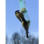 Zdjęcia użytkowników Huawei Mate X7