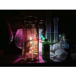 Zdjęcia użytkowników Huawei Mate X7