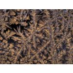 Zdjęcia użytkowników Huawei Mate X7