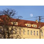 Zdjęcia użytkowników Huawei Mate X7