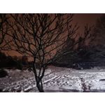 Zdjęcia użytkowników Huawei Mate X7