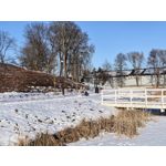 Zdjęcia użytkowników Huawei Mate X7