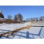 Zdjęcia użytkowników Huawei Mate X7