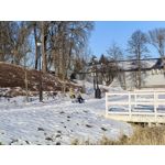 Zdjęcia użytkowników Huawei Mate X7