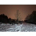 Zdjęcia użytkowników Huawei Mate X7