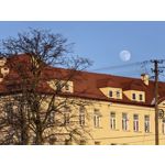 Zdjęcia użytkowników Huawei Mate X7