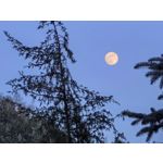 Zdjęcia użytkowników Huawei Mate X7