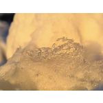 Zdjęcia użytkowników Huawei Mate X7