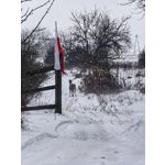 Zdjęcia użytkowników Huawei Mate X7