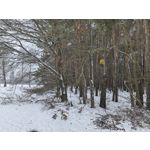 Zdjęcia użytkowników Huawei Nova 14 Pro