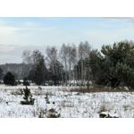 Zdjęcia użytkowników Huawei Nova 14 Pro