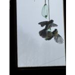 Zdjęcia użytkowników Huawei Nova 14 Pro