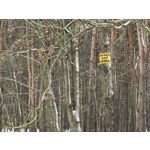 Zdjęcia użytkowników Huawei Nova 14 Pro