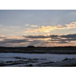 Zdjęcia użytkowników Huawei Nova 14 Pro