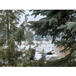 Zdjęcia użytkowników Huawei Nova 14 Pro